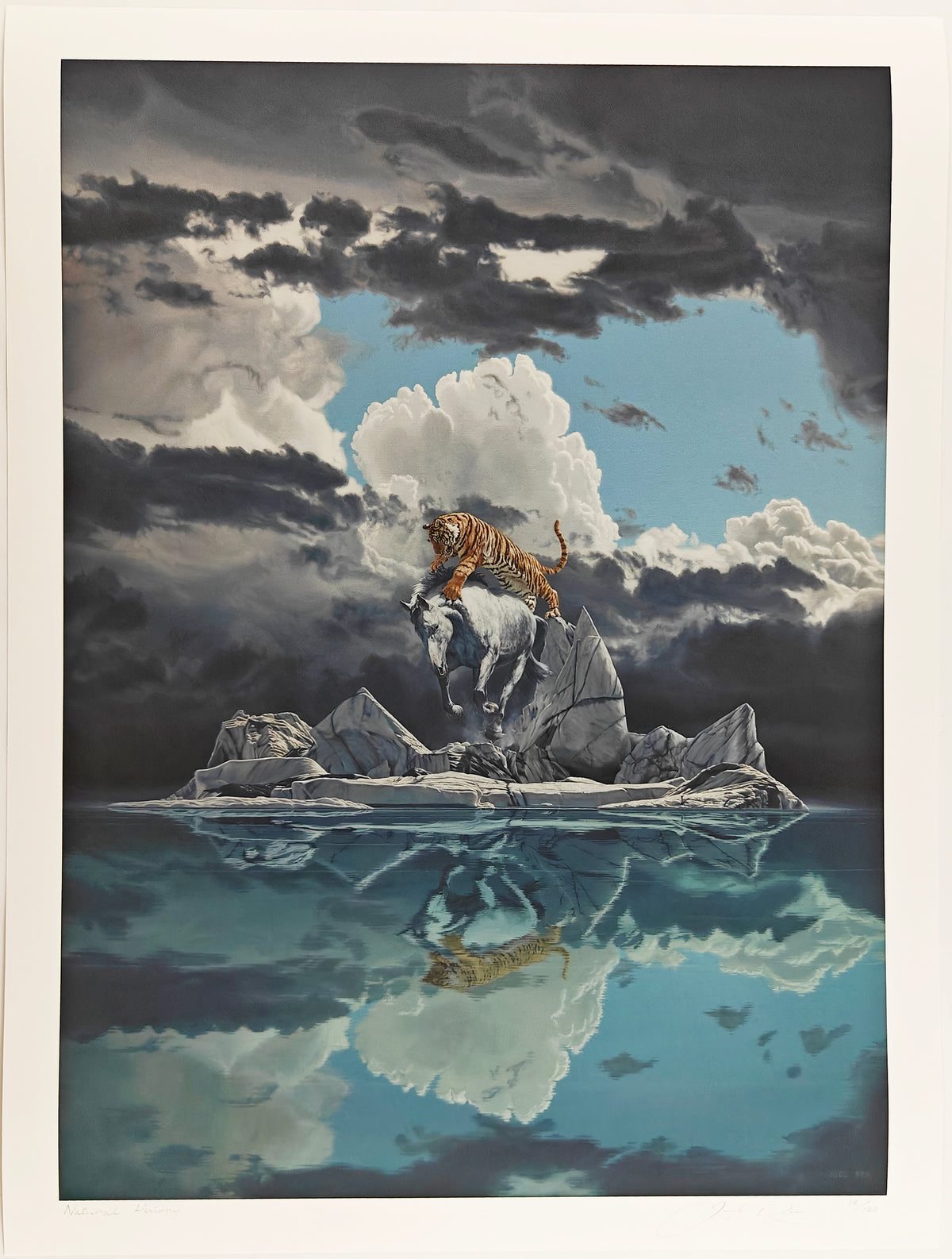 Natural History, Joel Rea