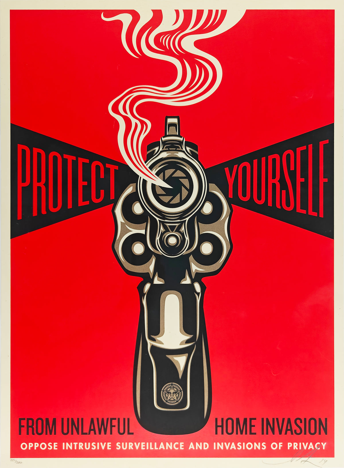 Home Invasion 1, Shepard Fairey