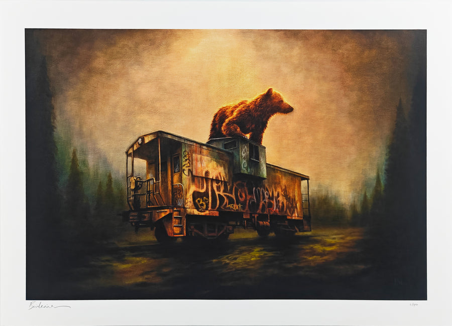 Northline Revival, Brin Levinson