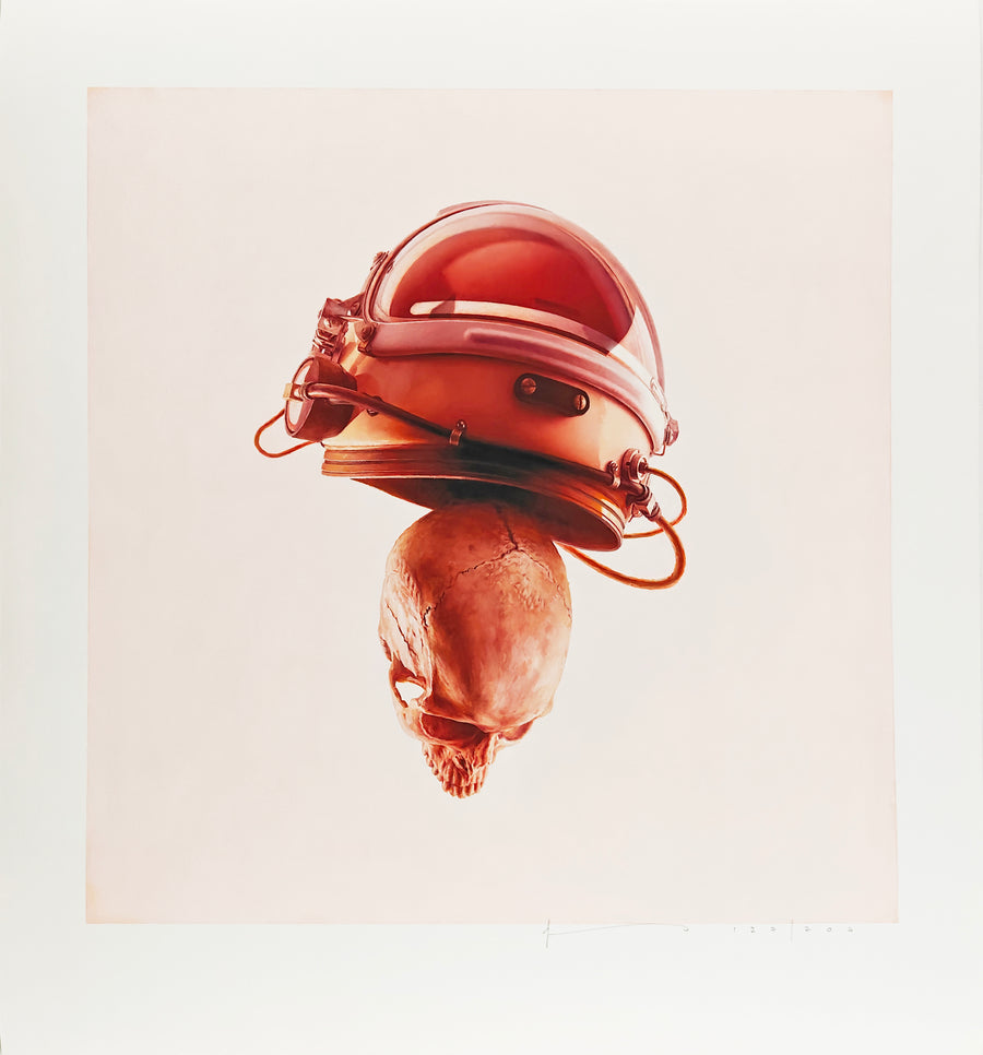 Rotator Skull, Jeremy Geddes
