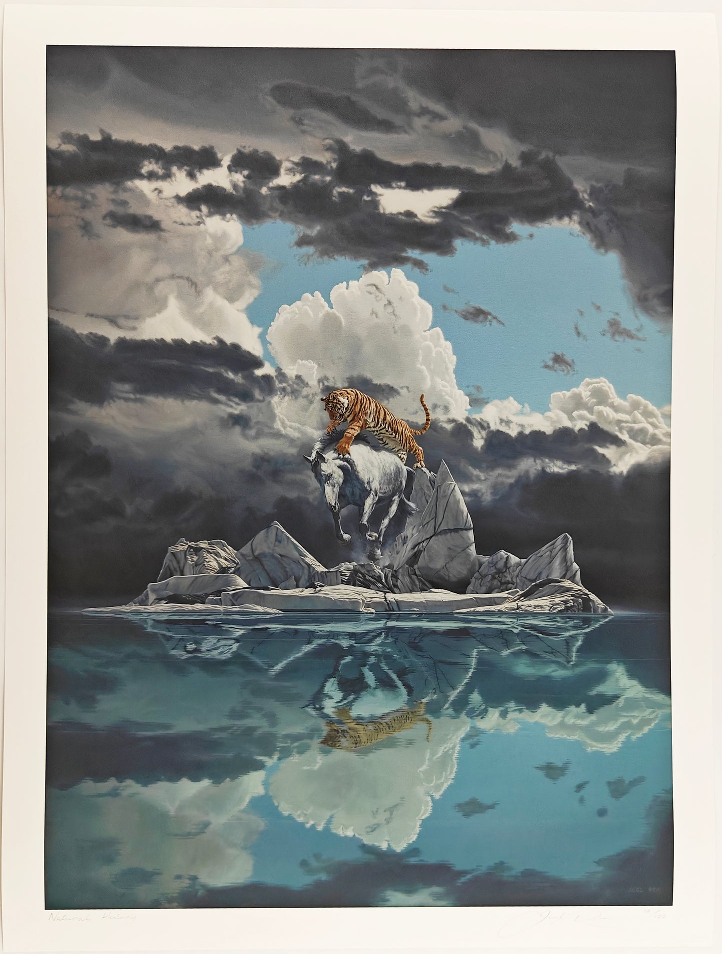 Natural History, Joel Rea