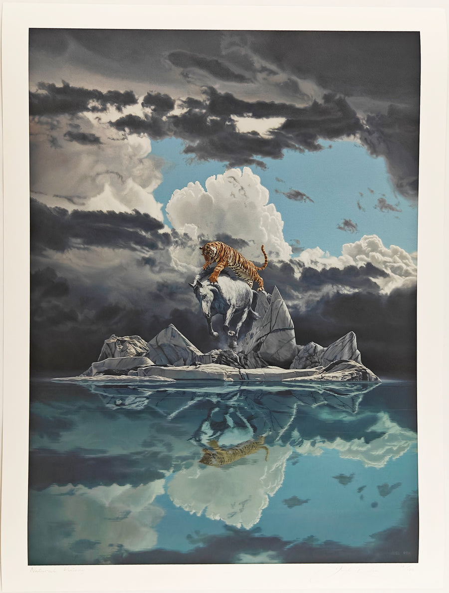 Natural History, Joel Rea