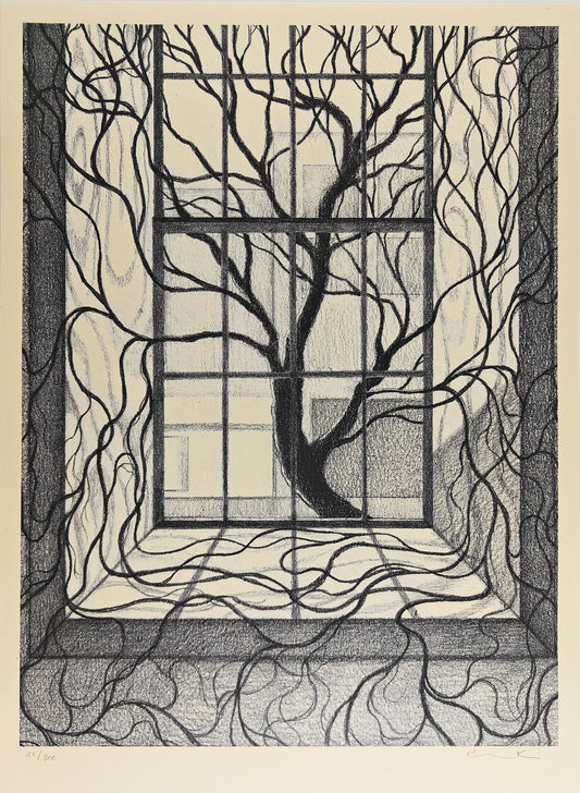 Mott Haven, Cindy Ji Hye Kim