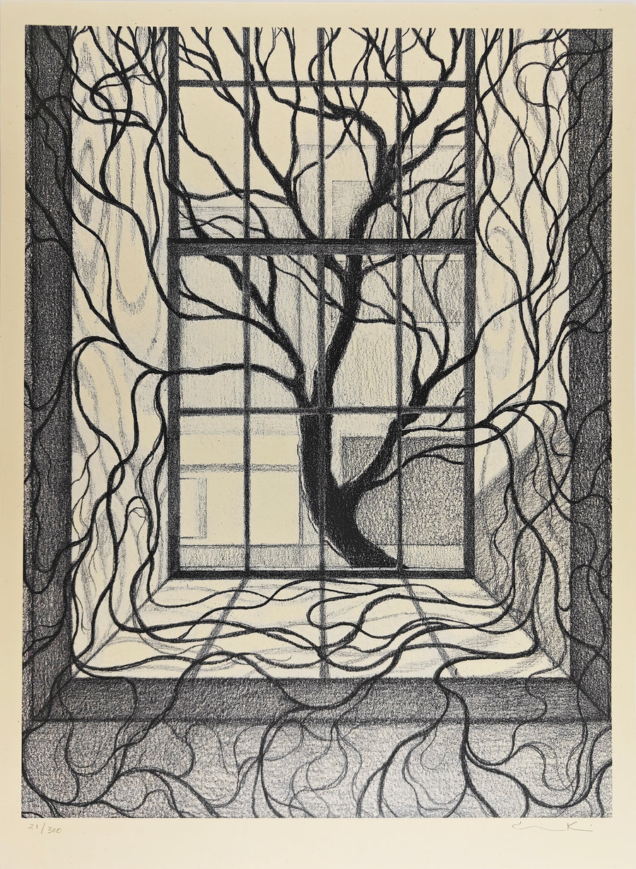 Mott Haven, Cindy Ji Hye Kim