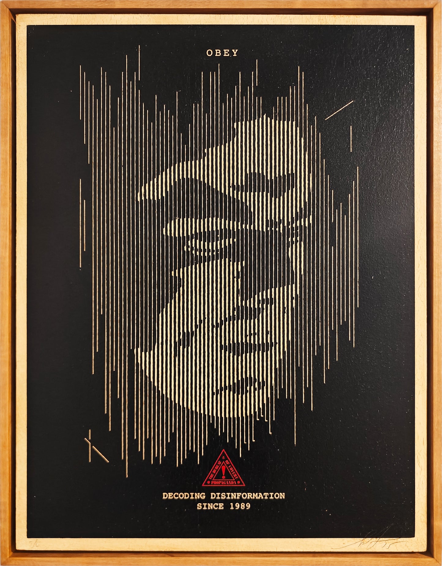 Decoding Disobedience, HPM, Shepard Fairey