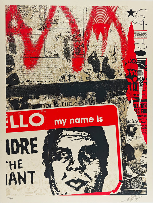 Hello My Name Is, Shepard Fairey