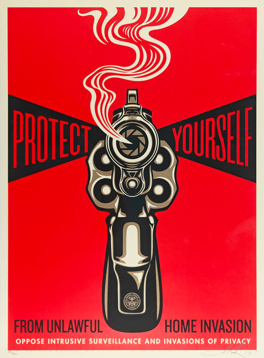 Home Invasion 1, Shepard Fairey
