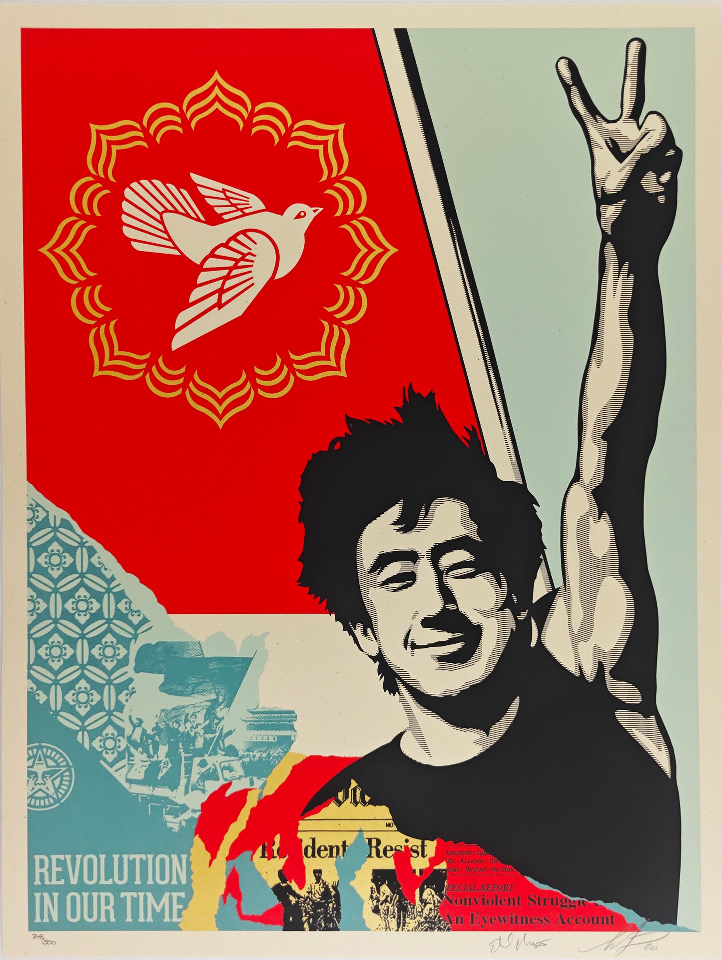 Revolution in Our Time, Shepard Fairey