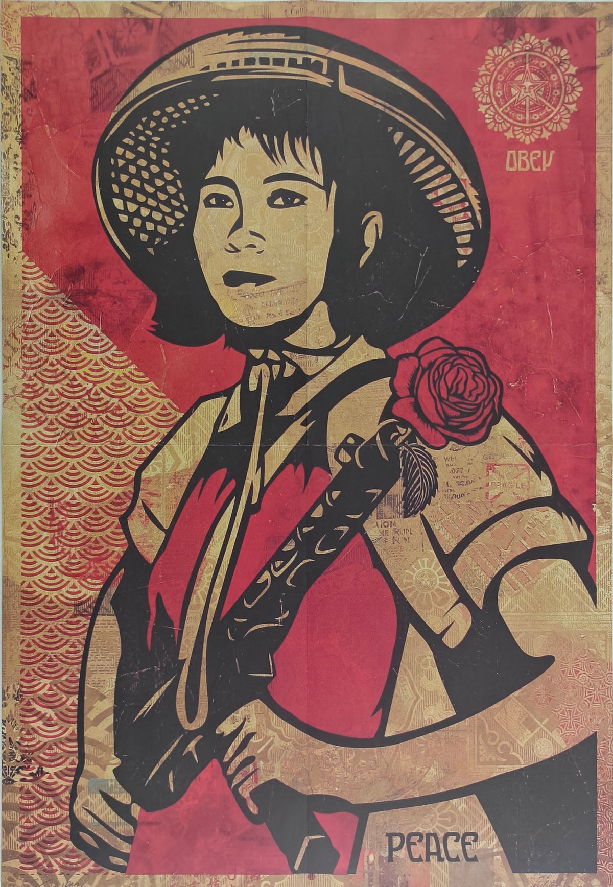 Revolution Woman, Shepard Fairey