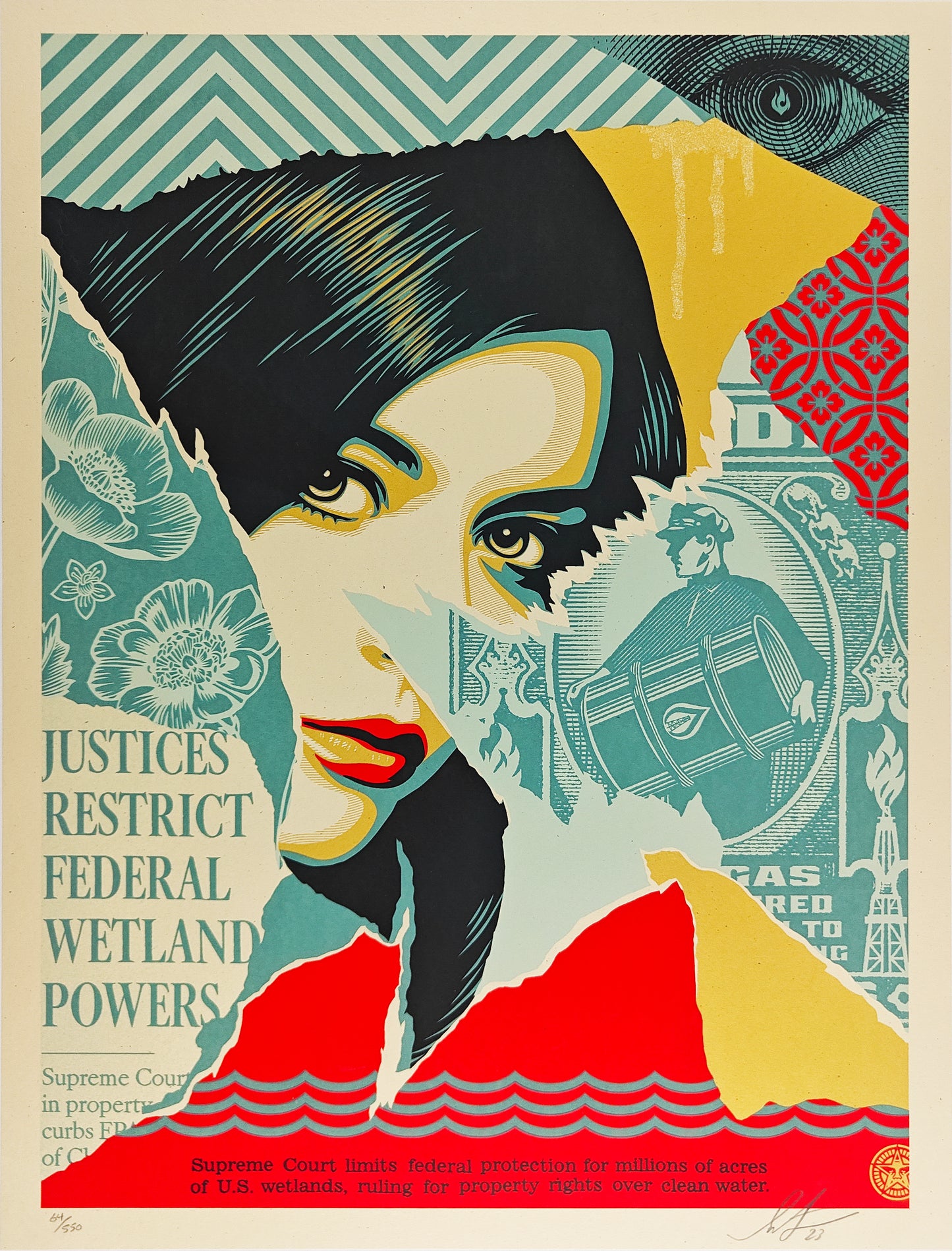 Wetland Powers, Shepard Fairey